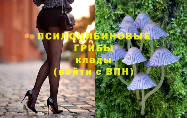 твердый Арсеньев