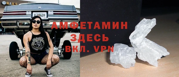 твердый Арсеньев